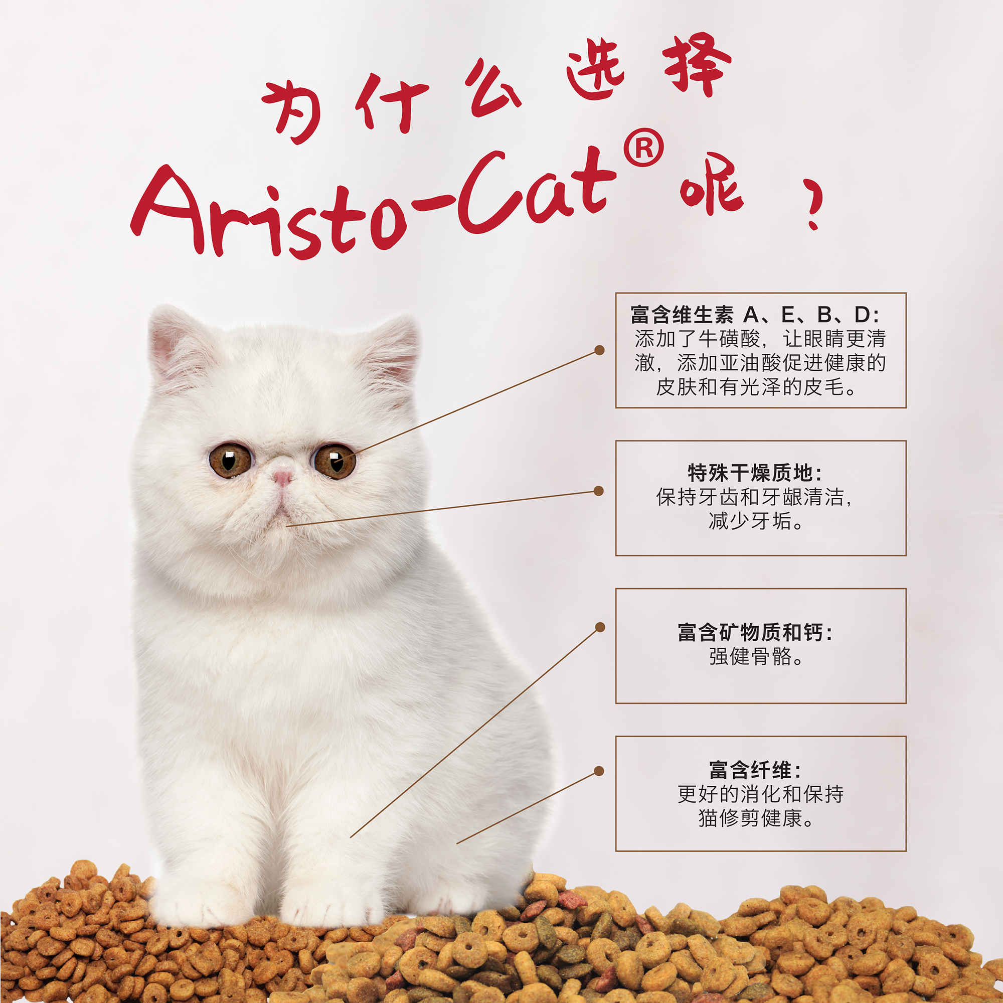 AC Dry Food Web Post-C-03.jpg